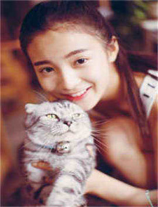 《bgmbgmbgm毛多多视频1》